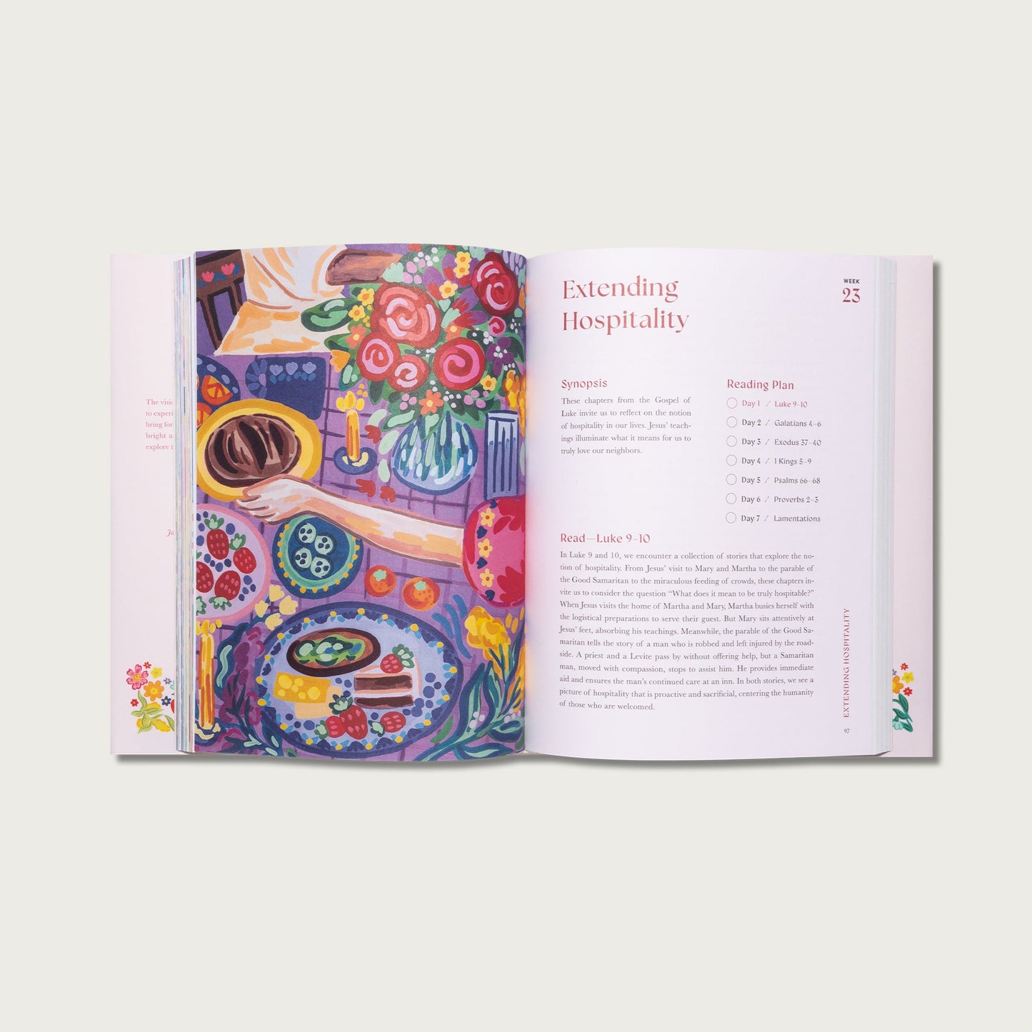 A Beautiful Year in the Bible (50% OFF)
