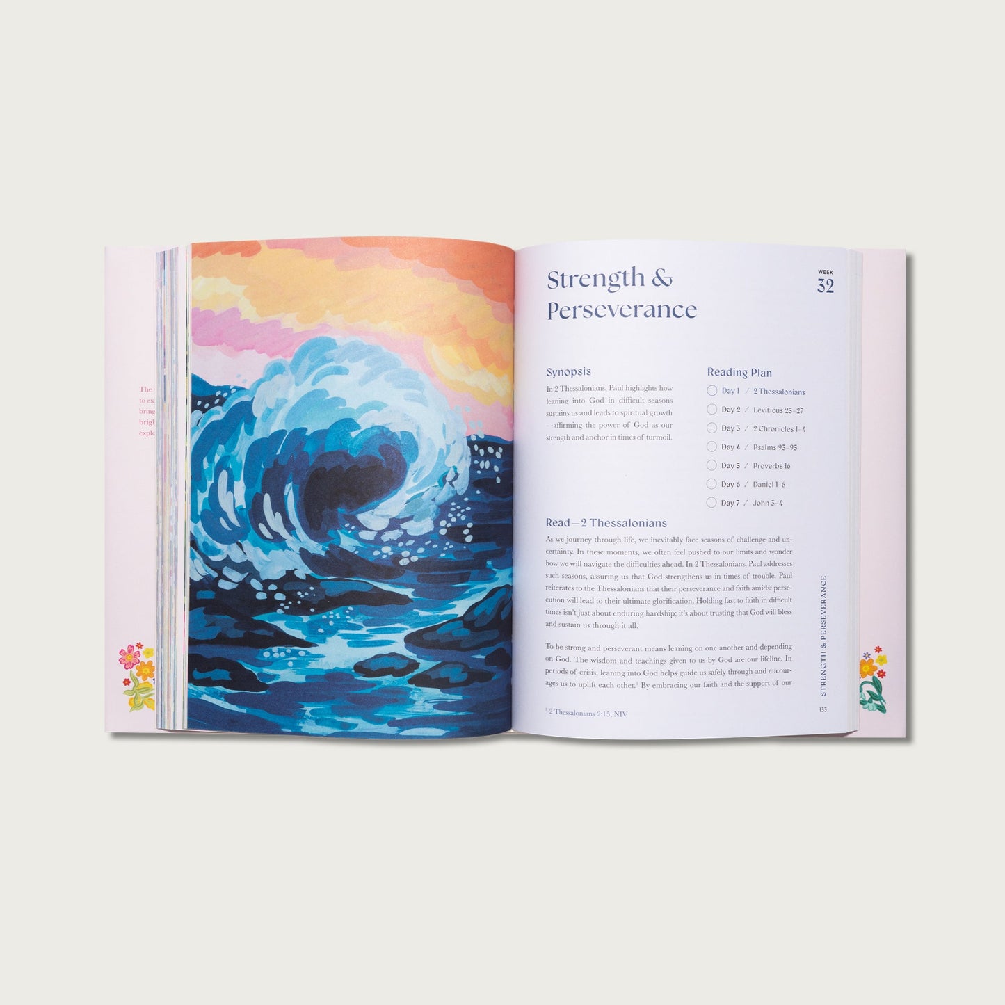 A Beautiful Year in the Bible (50% OFF)