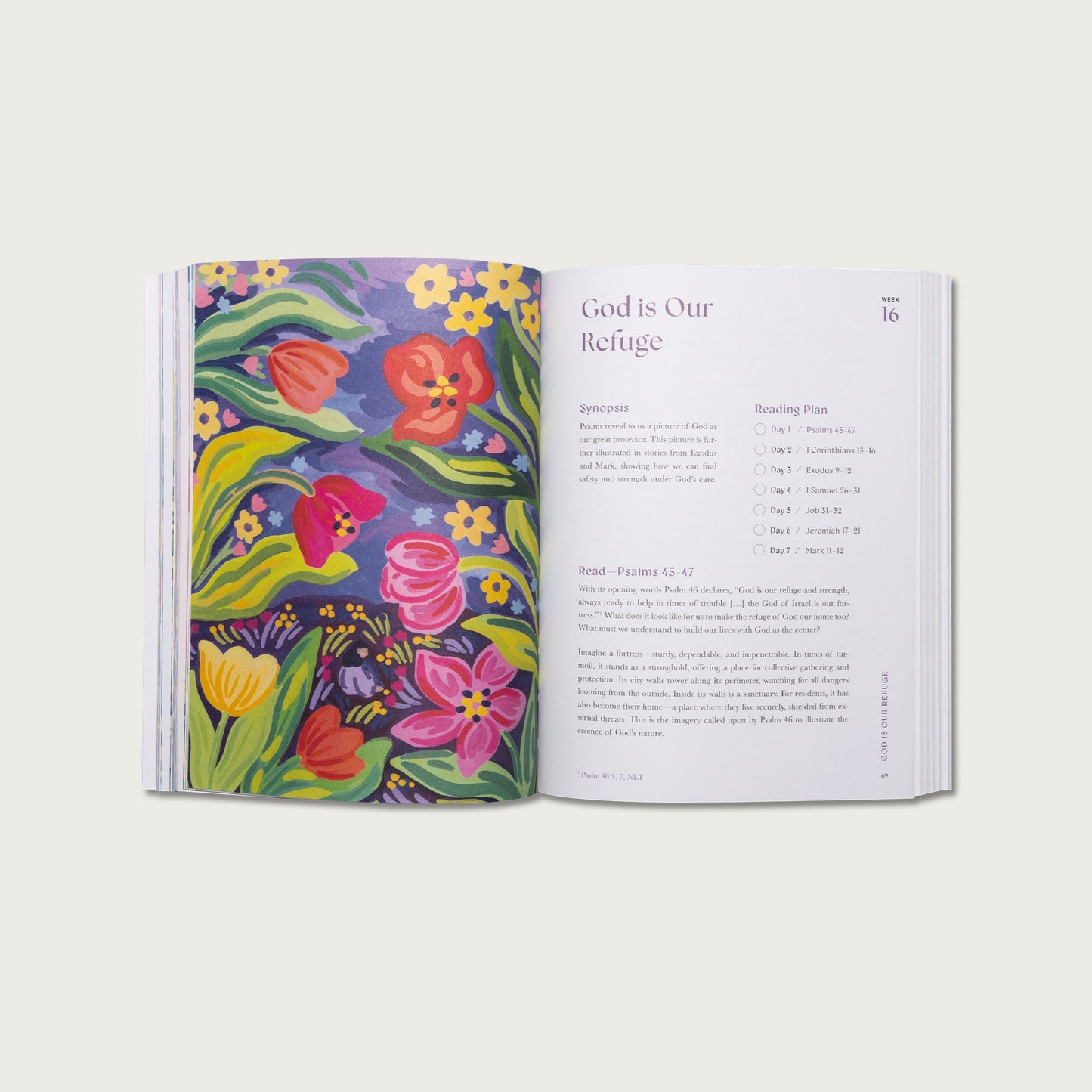 A Beautiful Year in the Bible (50% OFF)
