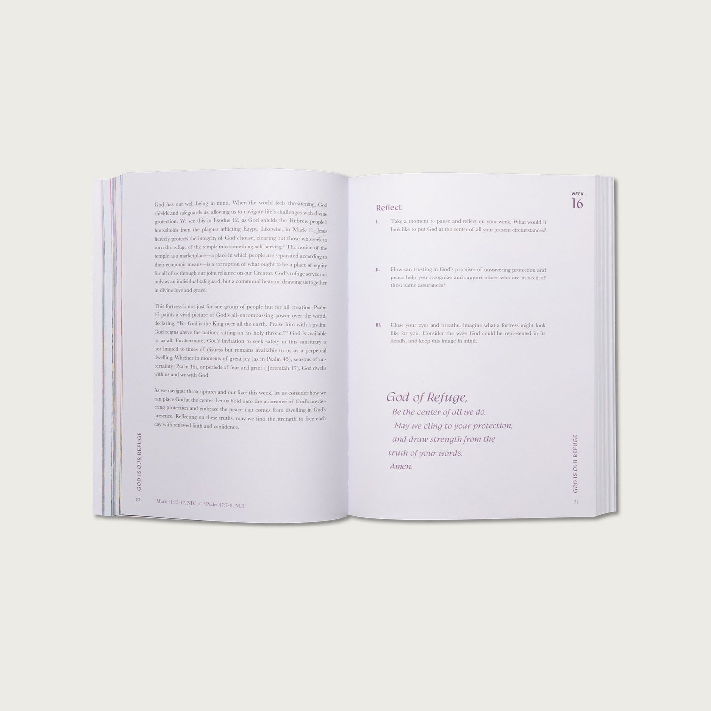 A Beautiful Year in the Bible (50% OFF)
